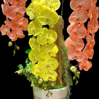 HOA LAN PHUN SƠN MỸ THUẬT PS05