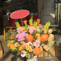 BÌNH HOA 001