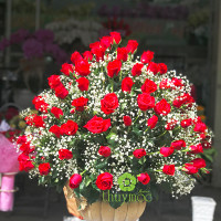 BÌNH HOA 024