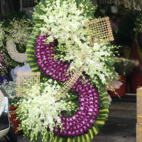 HOA CHIA BUỒN 001