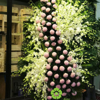 HOA CHIA BUỒN 011