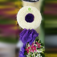 HOA CHIA BUỒN 012