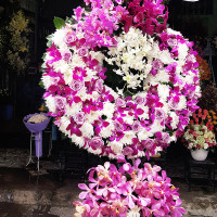 HOA CHIA BUỒN 013