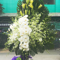 HOA CHIA BUỒN 014