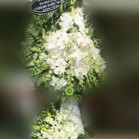 HOA CHIA BUỒN 015