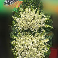HOA CHIA BUỒN19
