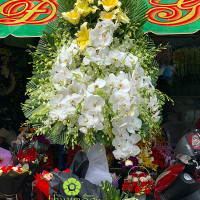 HOA CHIA BUỒN 025