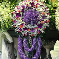 HOA CHIA BUỒN 031
