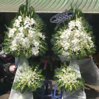 HOA CHIA BUỒN 033