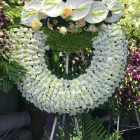 HOA CHIA BUỒN 039
