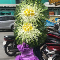 HOA CHIA BUỒN 044
