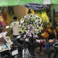 HOA CHIA BUỒN 047