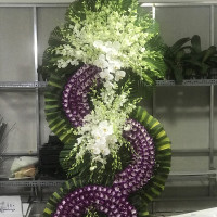 HOA CHIA BUỒN 049