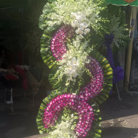 HOA CHIA BUỒN 050
