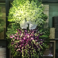 HOA CHIA BUỒN 052