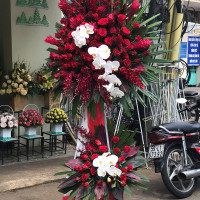 KỆ HOA CHÚC MỪNG 046