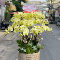 Sản phẩm test cung cấp sỉ